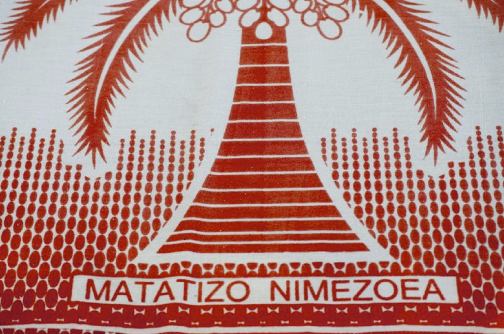 Swahili kanga cloth, saying: ‘I have become used to problems’